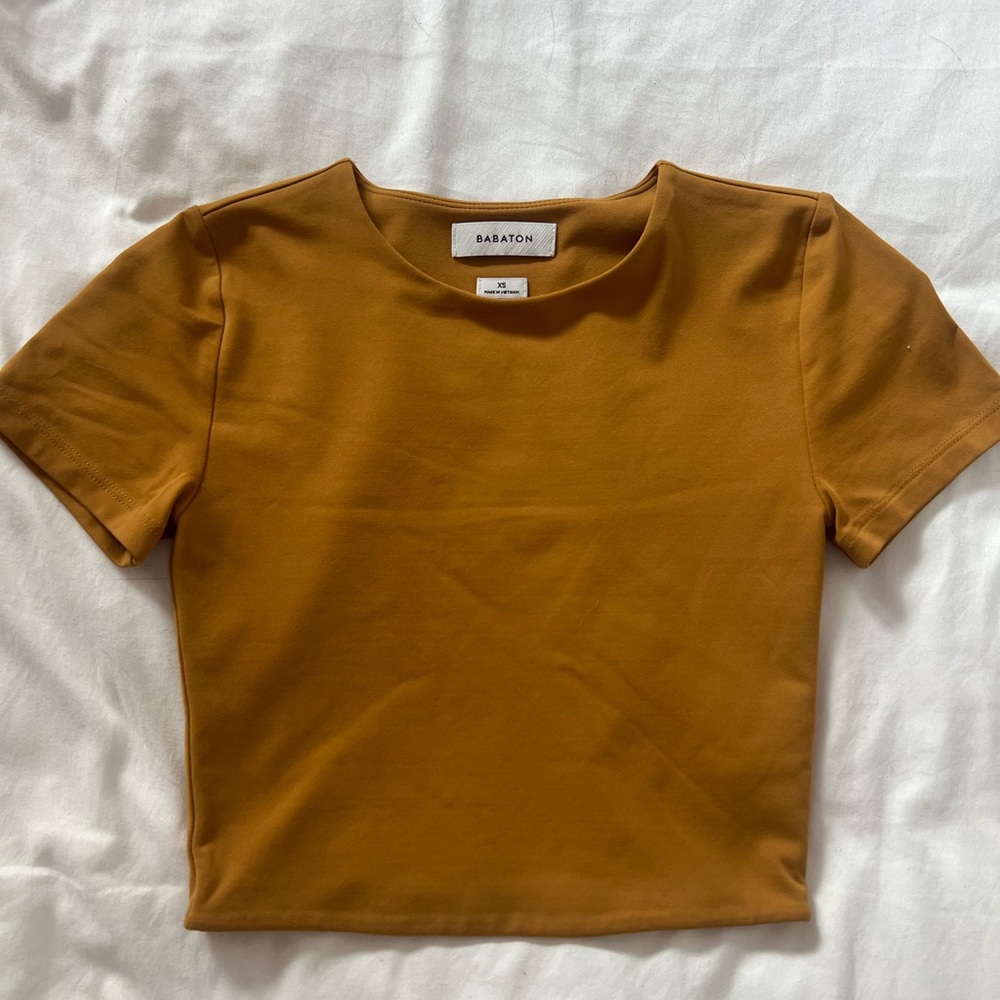 Aritzia BABATON contour crew cropped T-shirt